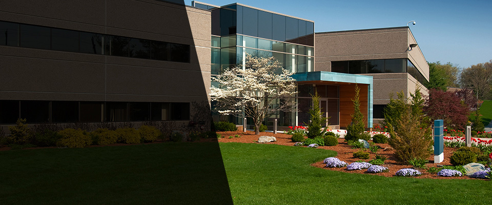 Marlborough Landscapers