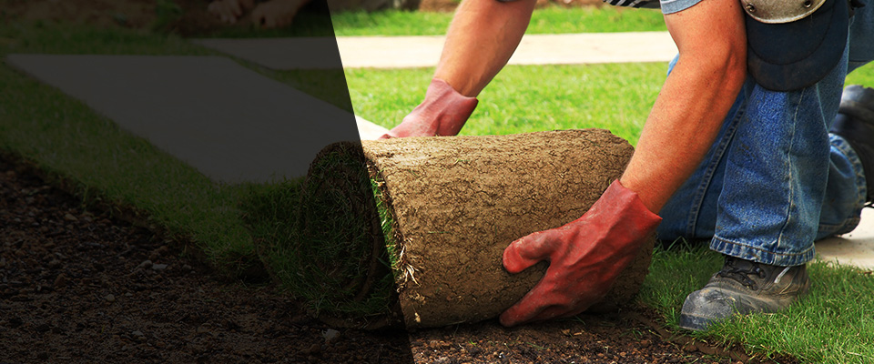 Marlborough Landscapers